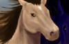 Horse Racing